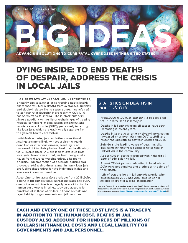 Dying Inside: To End Deaths of Despair, Address the Crisis in Local Jails